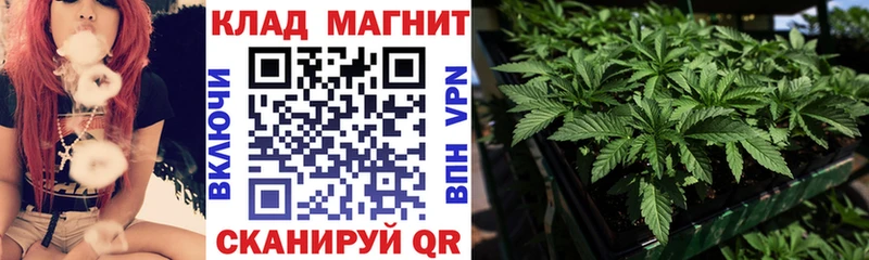 Гашиш Сенгилей