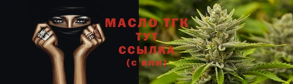 дмт Богородицк