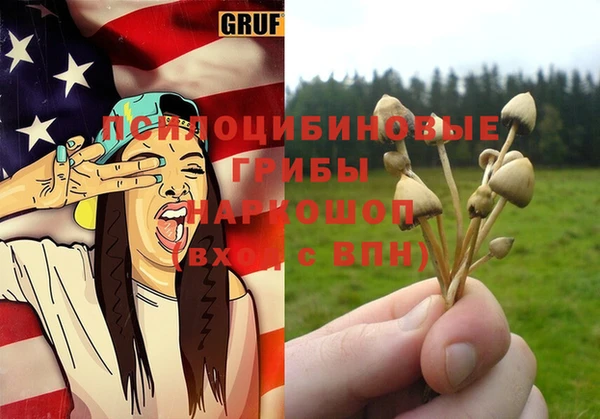 каннабис Аркадак