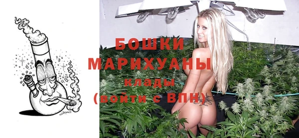 стаф Арсеньев