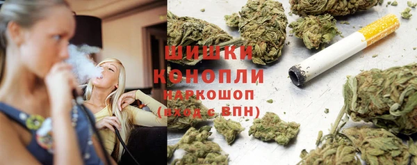 стаф Арсеньев