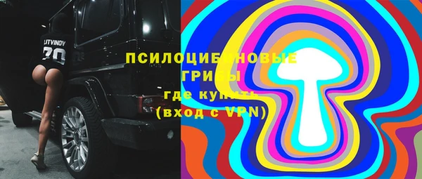 эйфоретик Баксан