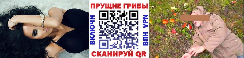 Галлюциногенные грибы прущие грибы  Купить  Сенгилей 